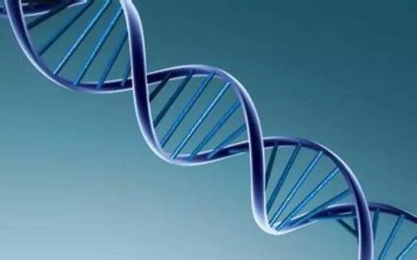 What do we know about genes? The 6 Most Amazing Genes in the World